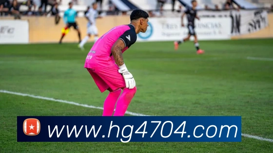 平台展示图